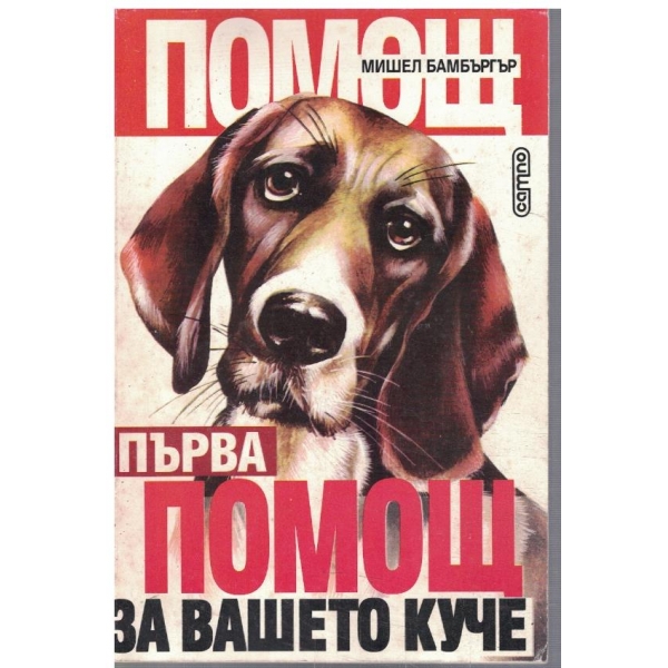 Първа помощ за вашето куче