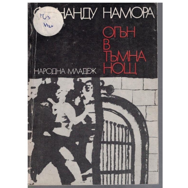Огън в тъмна нощ
