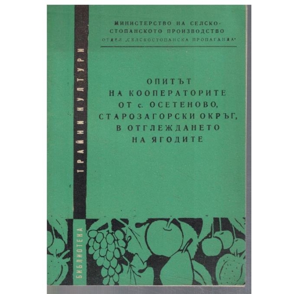 Опитът на кооператорите от с. Осетеново, Старозагорски окръг, в отглеждането на ягодите