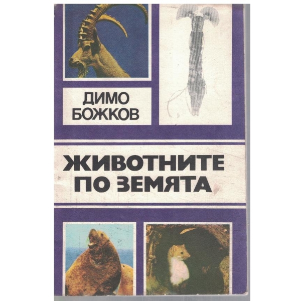 Животните по Земята