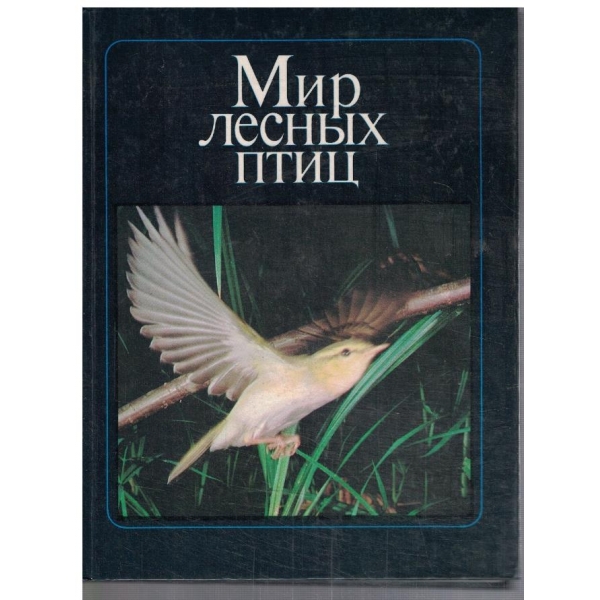 Мир лесних птиц