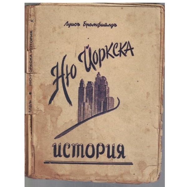 Ню Йоркска история