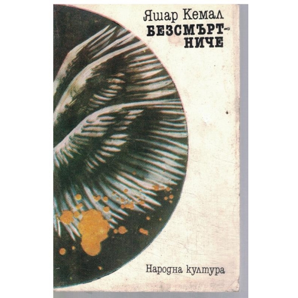 Безсмъртниче