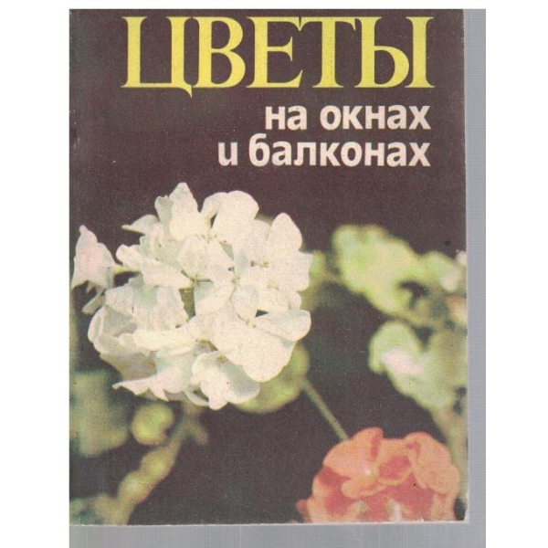 Цвети на окнах и балконах