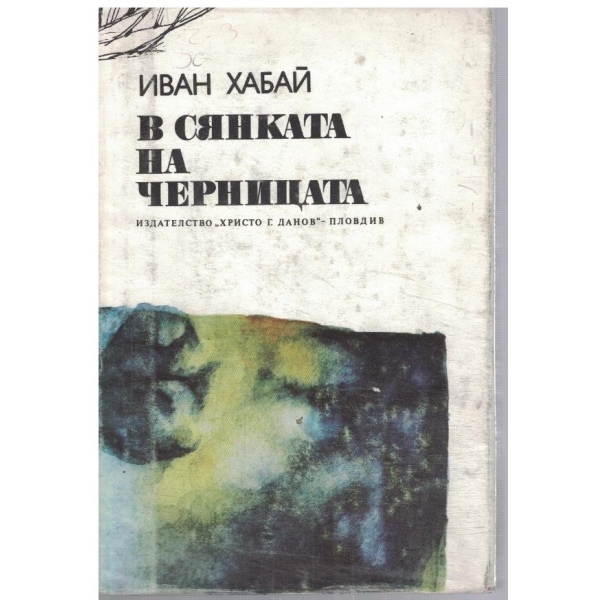 В сянката на черницата