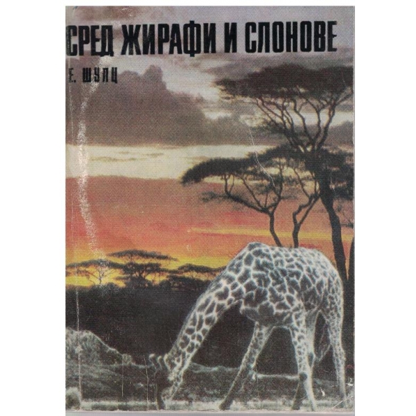 Сред жирафи и слонове