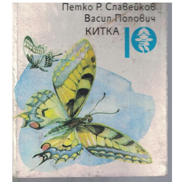 Китка