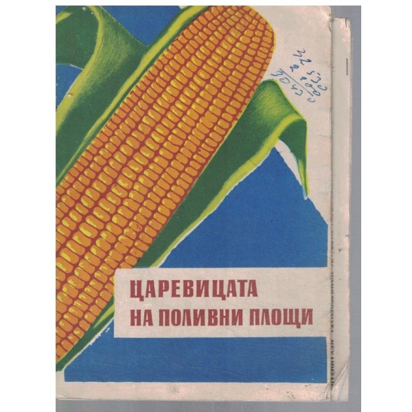 Царевицата на поливни площи
