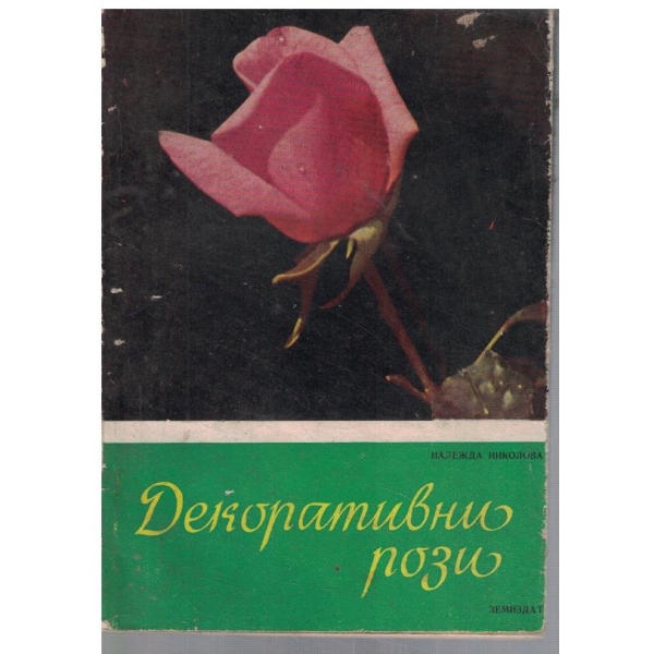 Декоративни рози
