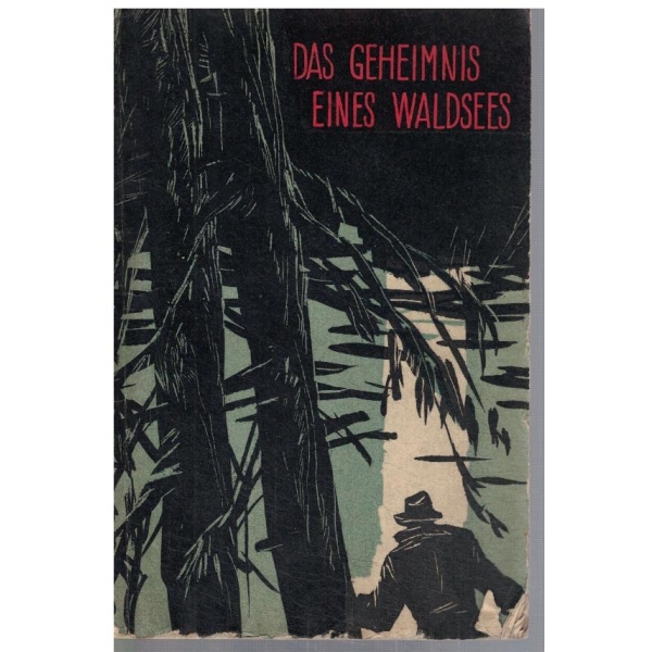 Das Geheimnis eines waldsees