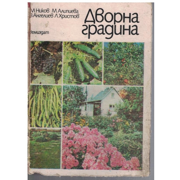 Дворна градина