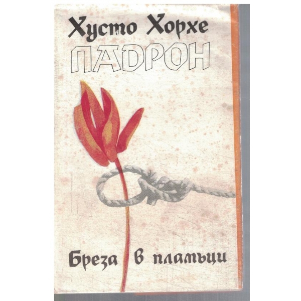 Брега в пламъци