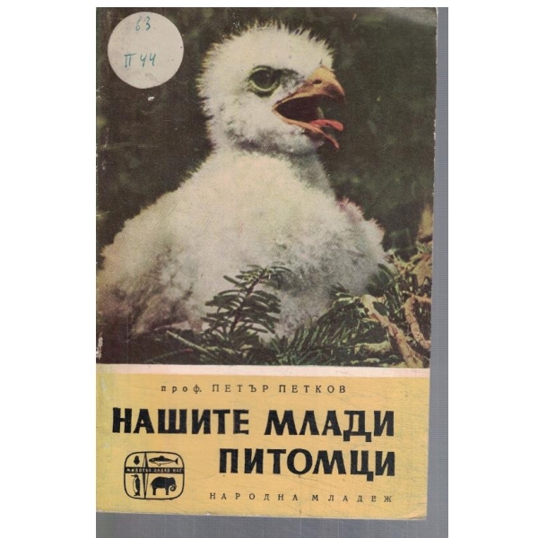 Нашите млади питомци