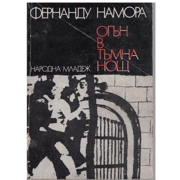 Огън в тъмна нощ