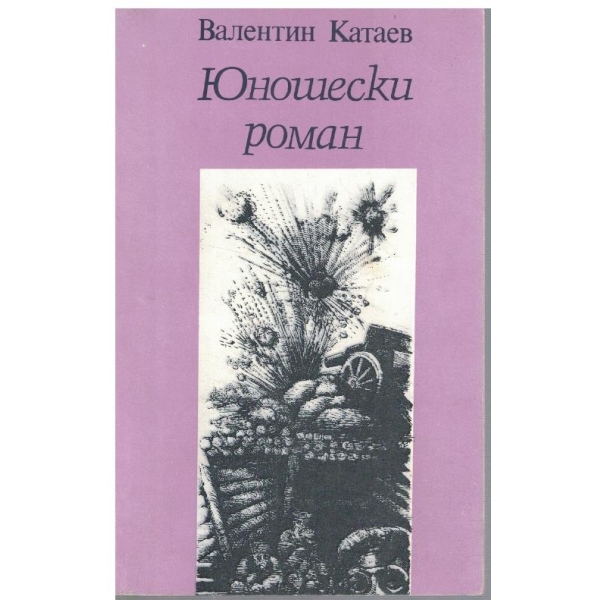 Юношески роман