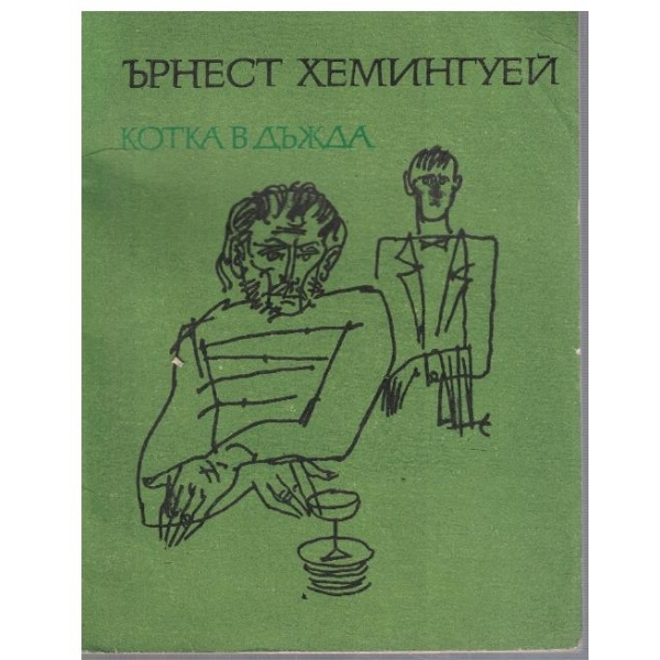 Котка в дъжда