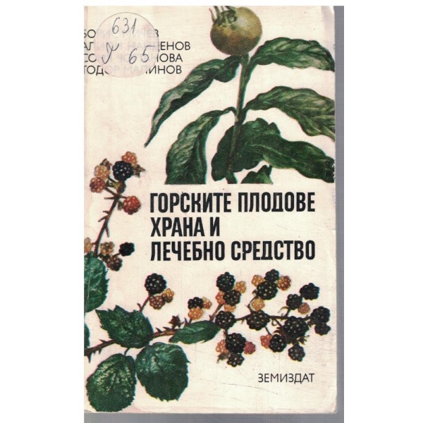 Горските плодове храна и лечебно средство