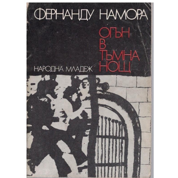 Огън в тъмна нощ